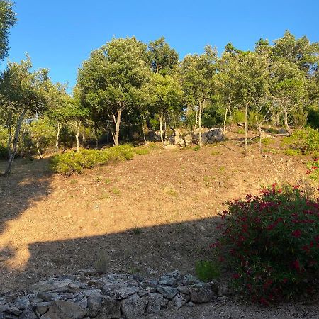 Li Paduleddi Country Guest House Olbia Exteriör bild