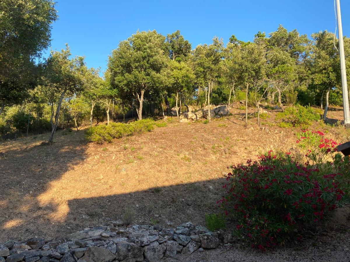 Li Paduleddi Country Guest House Olbia Exteriör bild