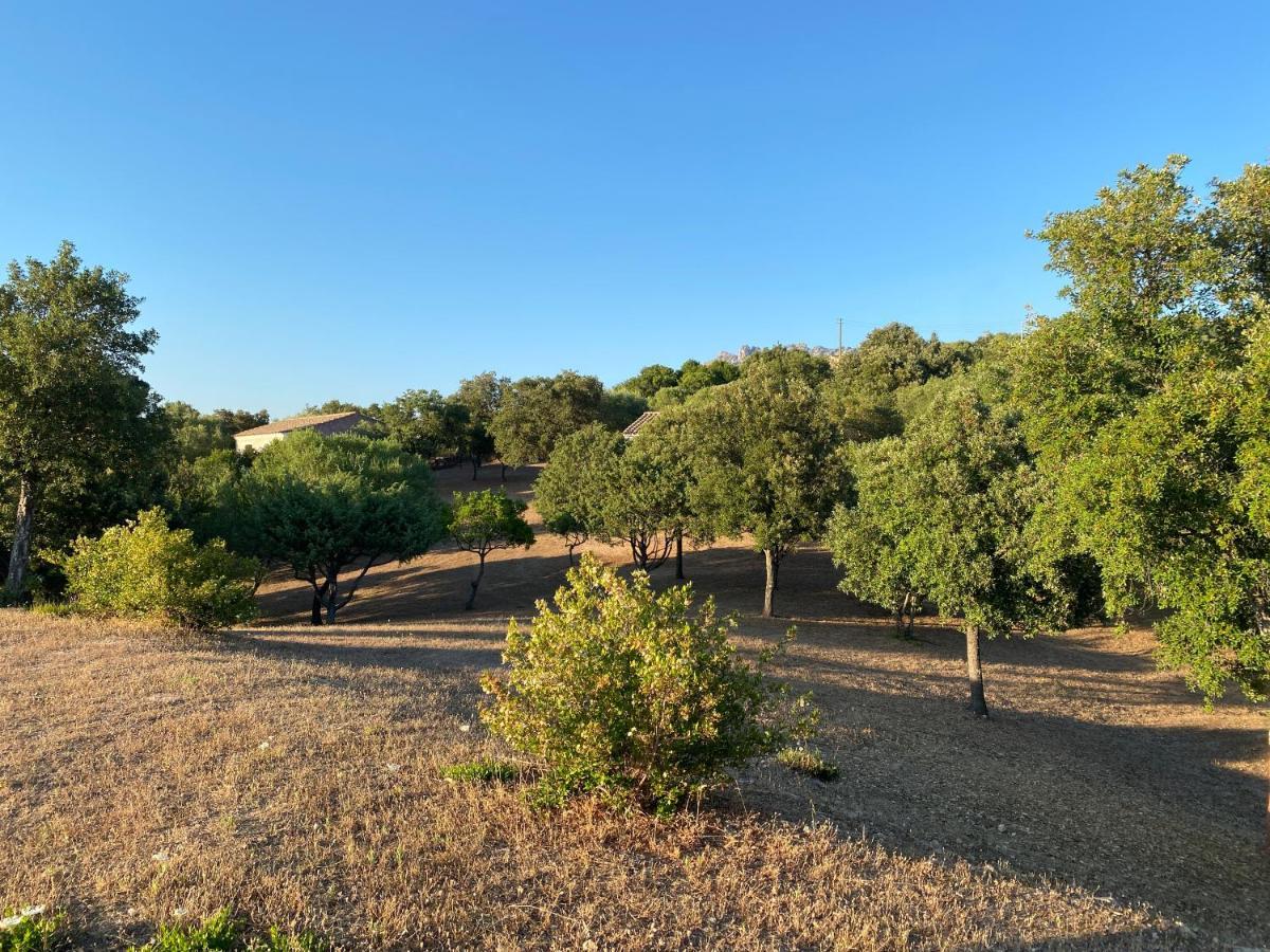 Li Paduleddi Country Guest House Olbia Exteriör bild