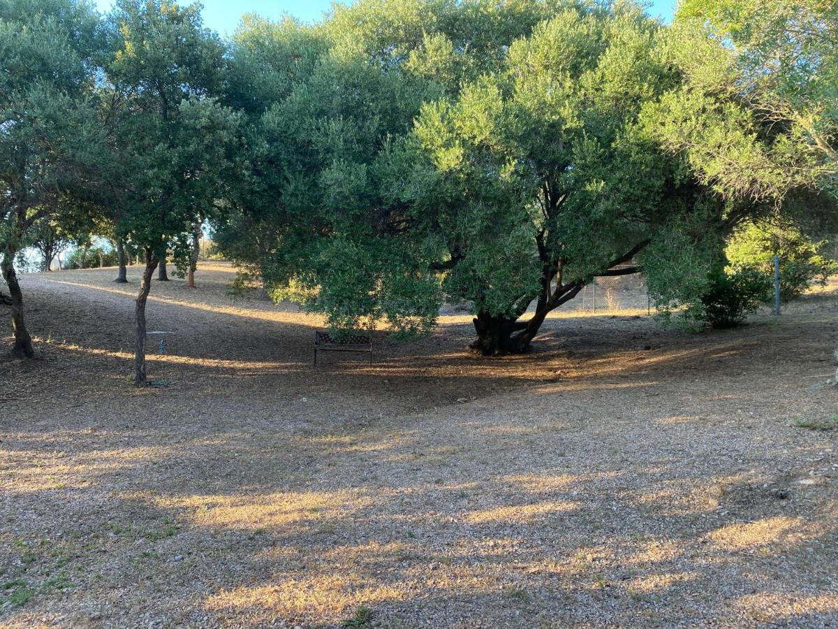 Li Paduleddi Country Guest House Olbia Exteriör bild