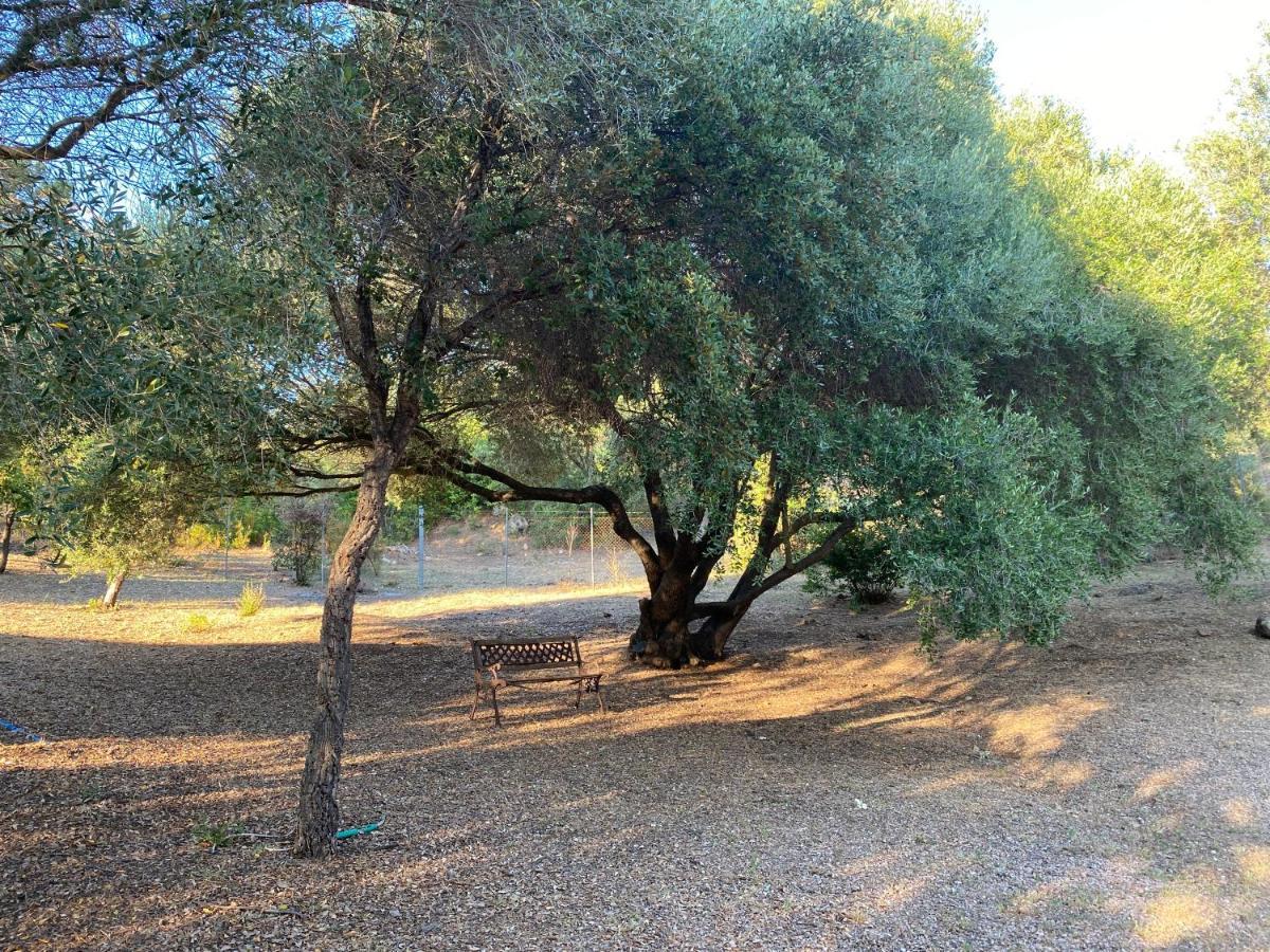 Li Paduleddi Country Guest House Olbia Exteriör bild