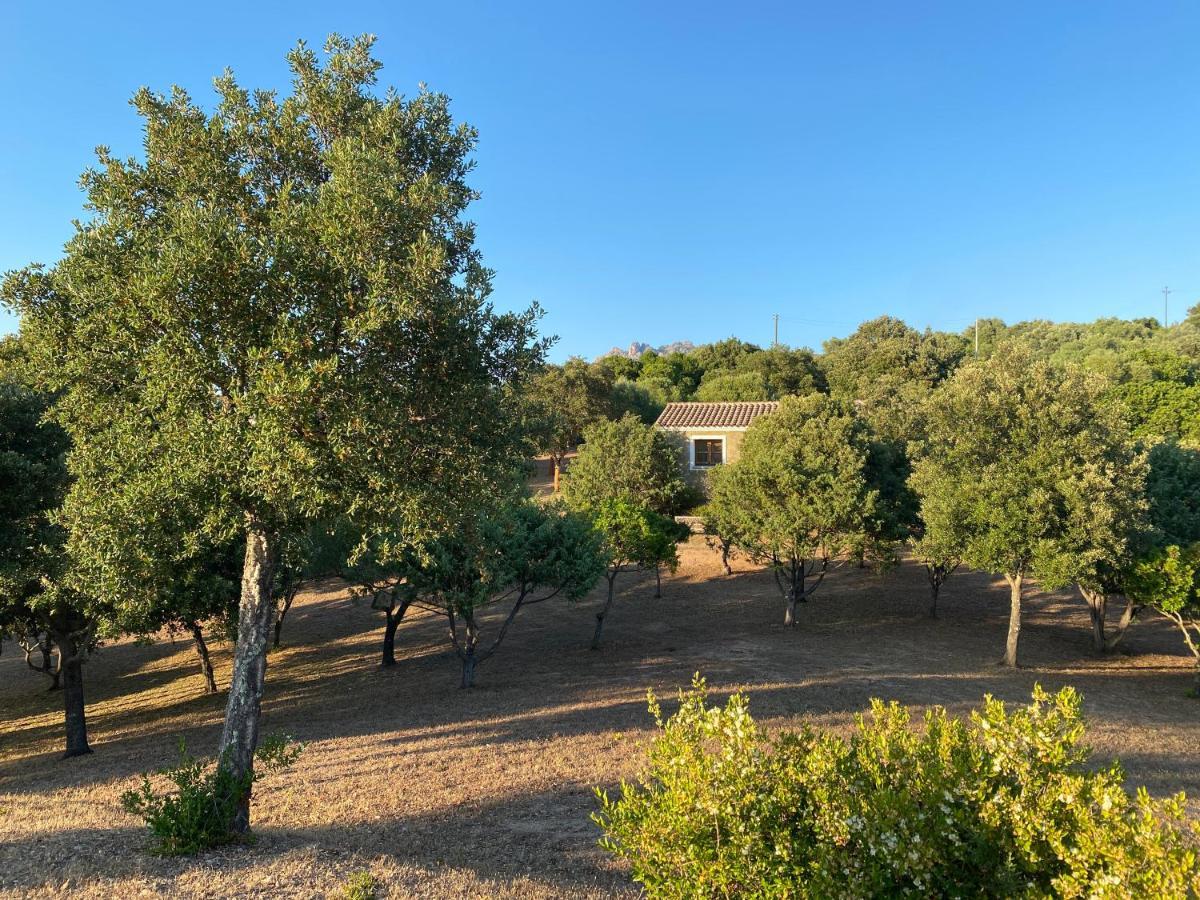 Li Paduleddi Country Guest House Olbia Exteriör bild
