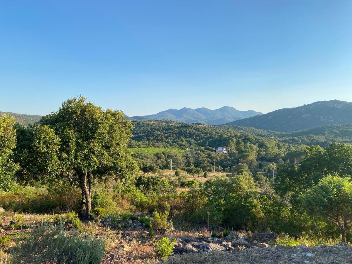 Li Paduleddi Country Guest House Olbia Exteriör bild